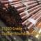 Barras redondas de cobre de grau C1100 120 mm comprimento 1850 mm pureza de cobre 99,99%