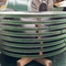 Revestimento de aço inoxidável dos VAGABUNDOS das bobinas 301 da tira de TISCO 600mm