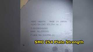 254 elevado desempenho de aço inoxidável da placa S31254 F44 de SMO